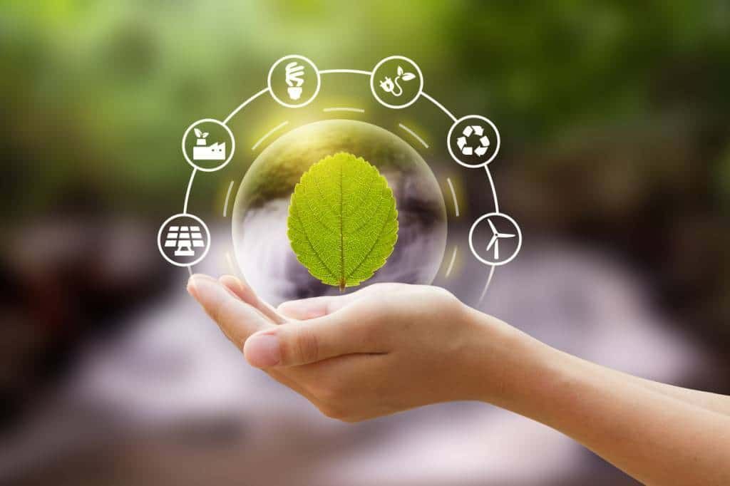 CSR, eco-responsible strategy